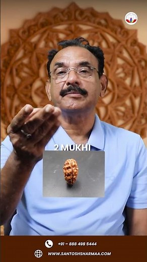 The Power of Rudraksh: Which One Should You Wear?
