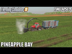 Cutting and Collecting grass in MUD | Pineapple bay | Timelapse #3 |Farming Simulator 19
