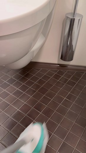 Queen of Clean: Bed Bug Horror Story