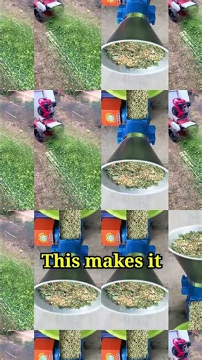 Amazing Straw Chopping Machine | Turns Straw into Energy & Animal Feed