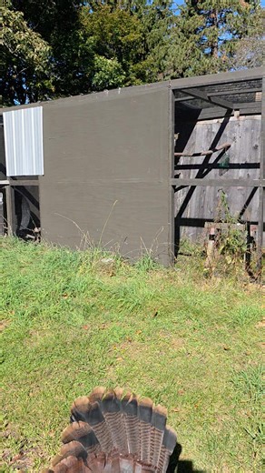 Life lesson. Surround yourself with things you love and you're never alone. Never. Ever. Alone! Ever! | Lucky Rehabilitation Center