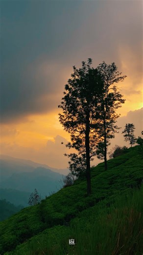 සුන්දර හවස්වරුවක් 🥺❤️🍃 #dedugala #dolosbage #sunset #srilanka #travel #palampitiyaviewpoint #natural