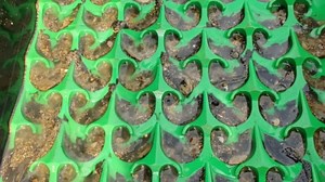 The Boss Micro-Dredge - Clean Up Sluice Box Kit - Dream Mat | Gold Prospecting Equipment