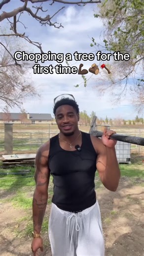 Chopping a Tree: My First Experience with an Axe