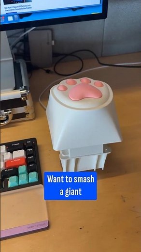 Here's an Enormous Kitty Paw Key You Can Program To Be Whatever You Want