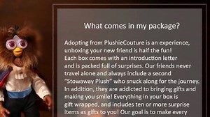 PlushieCouture - Etsy