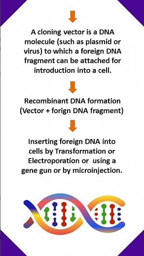 GENETIC ENGINEERING