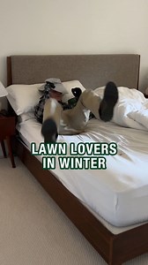 7K views · 19 reactions | Spring is right around the corner... In the meantime, we’re all for Rapid Grass resistance training  | Scotts Lawn Care | Facebook