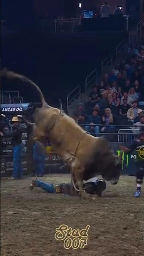 WILD Bull Jumpers TAKE ON Fierce Charging Beast//#Bull🦬#bollywood #amazing