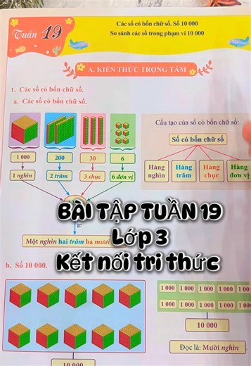 Bài tập tuần 19 Toán - Tiếng Việt lớp 3 ! Bạn nào học chương trình kết nối tri thức thì hãy ôn lại lý thuyết và làm bài tập nhé ! #lop3 #toanlop3 #tiengvietlop3 #baitaptuanlop3 #codaotieuhoc