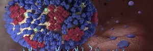 Scientists create accurate predictor of the next year’s flu virus