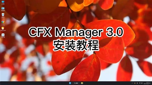 教你正确安装CFX Manager 3.0，一步步教你装好CFX Manager 3.0！