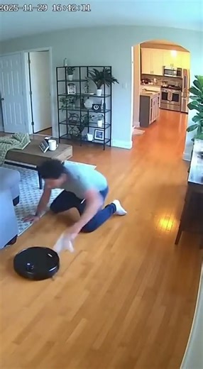 Robotic Vacuum Steals Sock and Goes Rogue!