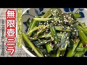 【簡単料理】食べ出したら止まらない♪無限壺ニラ/作り方/レシピ/節約/作り置き【主婦の独り言】