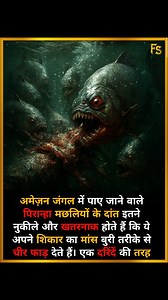 3.7K views · 2.1K reactions | Piranha Attack! . . In the Amazon rainforest, piranhas have razor-sharp teeth so deadly that they can tear the flesh of their prey apart in seconds, attacking like a ruthless predator. . . Follow Fact Samrat for more unbelievable facts. . . #Piranha #AmazonFacts #DidYouKnow #MindBlown #Science #AnimalFacts #FactReels | Fact Samrat | Facebook