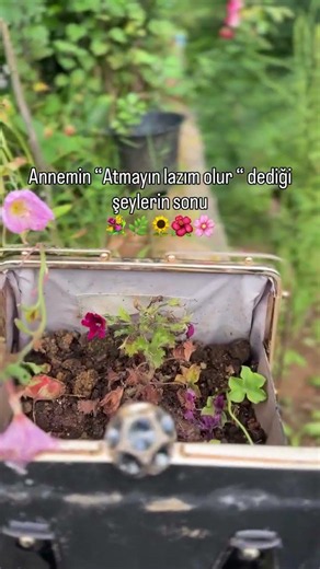 That's what they mean by "don't throw it away, you might need it" #explore #funny #flowers #short...