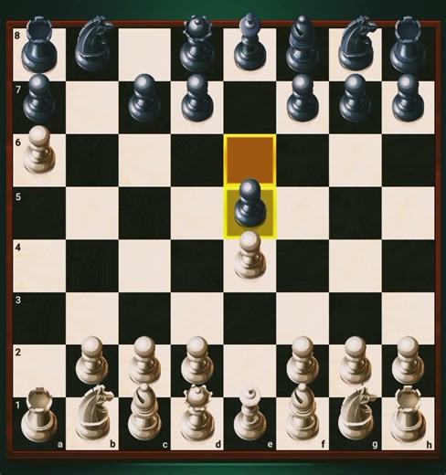 Human vs computer who will win (Chess YT)