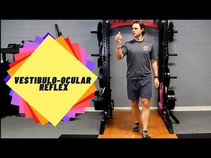 Vestibulo ocular reflex training (VOR)
