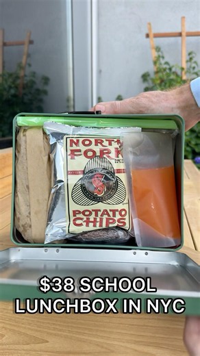 🧃 NYC ROOFTOP BAR SERVES BOOZY CAPRI SUNS 😳🌆