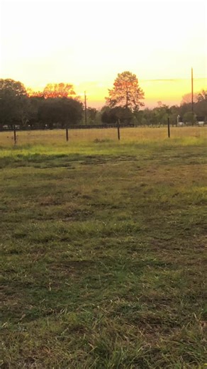 davidwhite409 (@davidwhite409)’s videos with original sound - davidwhite409