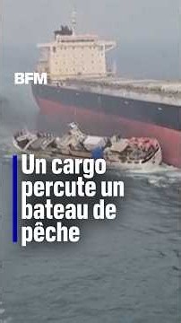 Un cargo percute un bateau de pêche au large de Singapour