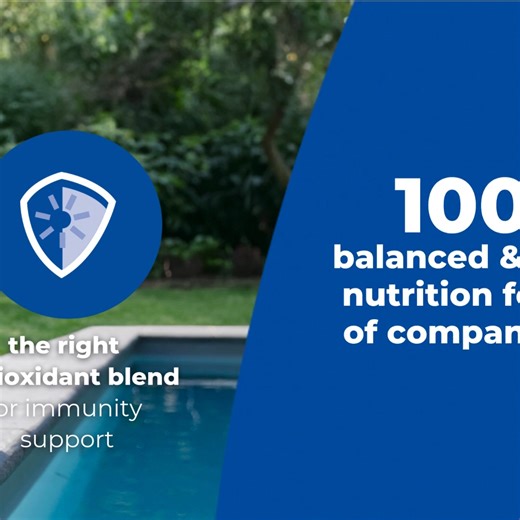 See how Hill's Science Plan helps support your dog’s happiest, healthiest life for years of companionship. 💙 Give them the best nutrition—available at veterinary clinics and pet shops! 🐶🥣 #HillsCy #HillsSciencePlan #HappyPets #HealthyPets | Hill’s Pet Nutrition