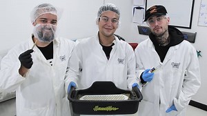 Five local companies join forces to package and deliver cannabis
