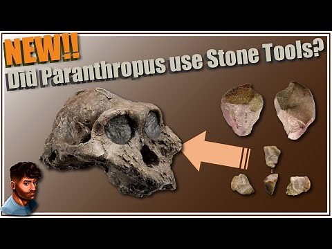 The Oldest Stone Tools Ever? Update from Kenya!