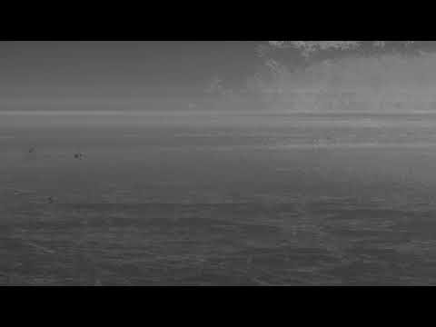 2025 08 19 07h35m47s