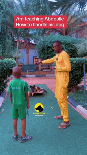 Dog master teaching dog owner #gambian_tiktok🇬🇲🇬🇲