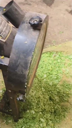machine for chopping leaves #shorts