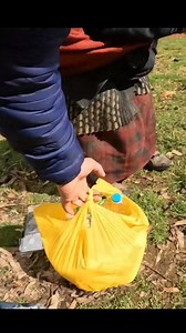 420K views · 8.1K reactions | Jamicha la Mamá de Rossi tiene que salir todos los días a buscarse para llevar de comer, a pesar de las dificultades que tiene. Gracias I-RUN  | Rusbelt de Viaje | Facebook