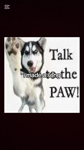 sizzor (@isharks4)’s videos with original sound - sizzor