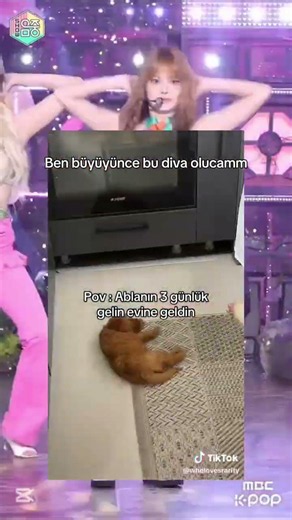 İYY#fyp #fypシ #fypシ゚viral #blackpink #bts #keşfetbeniöneçıkar #keşfet #keşfetteyiz #keşfetedüş #bts