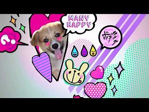 FUNimation Channel On Demand - Now on Charter Communications - Bumper 1