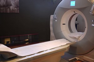 Ct scan vs animal de compagnie - différence et comparaison - Blog 2025