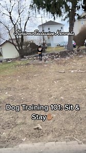 7199778826614885674