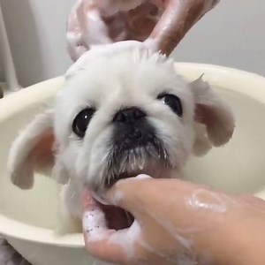 72K views · 1.4K reactions | This is exactly what I need after a long week   LIKE if you can relate | TX Spa Castle | Facebook