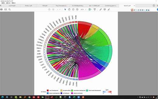 R语言GOplot包画弦图展示GO富集分析的结果