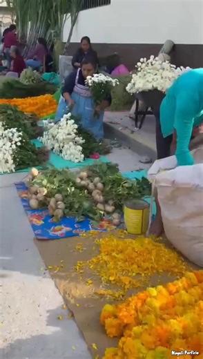 La plaza Acatlán Guerrero 🌼🏵️👌🏻 31 de octubre 2025 . . #Acatlan #Guerrero #mexico #catrinas #parati #tradicionesmexicanas #culturamexicana #PueblosIndigenas #cultura #mexicodesconocido #fypシ゚viralシ #fypchallenge #videoviralシ | Nayeli Porfirio