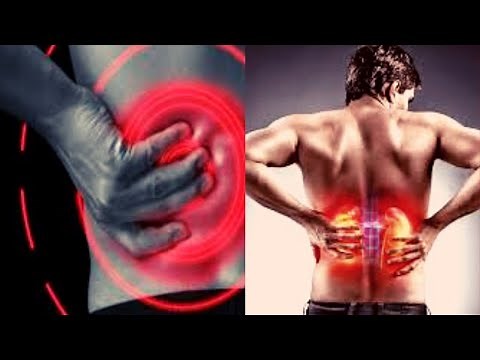 What is Pyelonephritis? Pyelonephritis Symptoms, Causes, Treatment, Risk factors