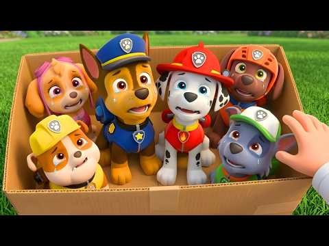 THE SAD STORY of Paw Patrol – The First Day of the Pups | Paw Patrol Ultimate Rescue | Rainbow 3