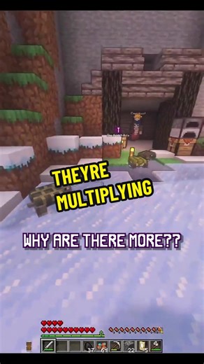 I will build them a huge aquarium! Server is called Monthly Modpack Madness, and it is a private SMP for small Minecraft content creators. The modpack shown here is Comfy Winter by Alainzzz. #smallcontentcreator #fypypp #youtube #twitch #smallstreamer #minecraftsmp #moddedminecraftsmp #minecraft #modded #moddedminecraft #twitchstreamer #monthlymodpack #monthlymodpackmadness
