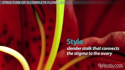 You must c C reate an account to continue watching