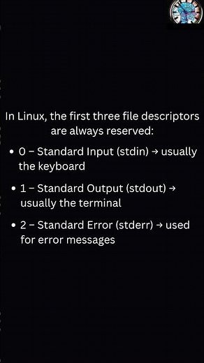 What Are File Descriptors in Linux stdin, stdout, stderr Explained