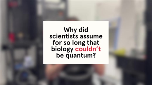 What if quantum phenomena could last long enough to matter in biology?