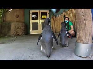 Honoring The Amazing Women Of The Oregon Zoo