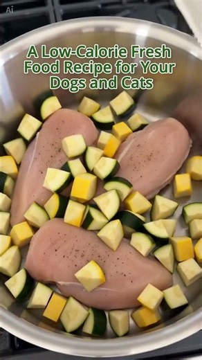 Try This Easy Crockpot Meal for Your Pet 💚