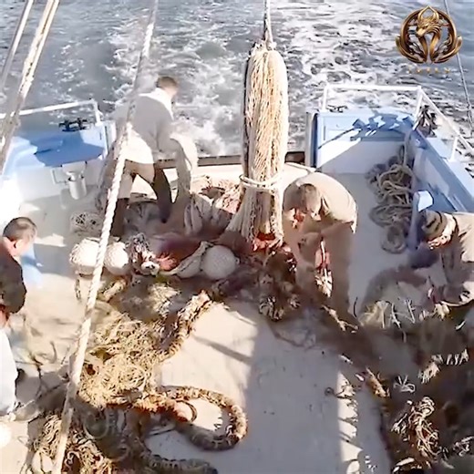 233K views · 5.4K reactions | best action series on netflix 2024 | د.أمين حسن عمر - الصفحة الرسمية | Facebook