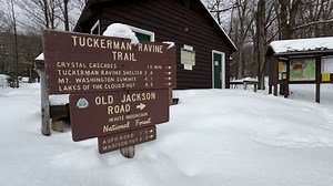 Skier dead after falling down Tuckerman Ravine; 2 others suffer traumatic injuries, officials say